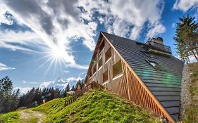 Oberhauser Huette Rodenecker - Luesner Alm